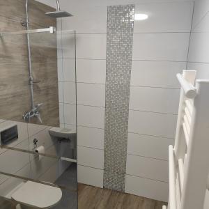 a bathroom with a toilet and a glass shower at Redkot 40A in Zielona Góra +6 photos
