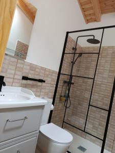 a bathroom with a shower and a toilet and a sink at El Llugar de las Drusas in Fontanina +24 photos