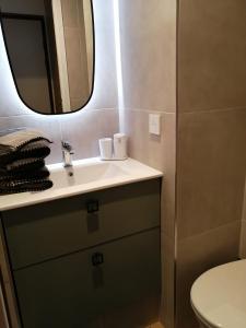 a bathroom with a sink and a mirror at Le 400 BIS in Bourg-Saint-Maurice +1 photo