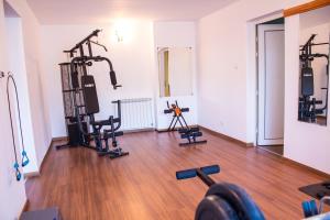 Fitness centrum a/nebo fitness zařízení v ubytování Hotel Apollo