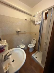 a bathroom with a sink and a toilet and a shower at Al Giumani in Mammola