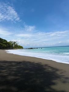 a sandy beach with the ocean and trees in the background at Casa Colibrí #1 in Puerto Jiménez