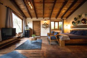 a living room with a bed and a tv at Cabañas VIP in Mazamitla