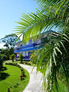 a house with a palm tree in front of it at Mahawi Resort in Calarcá