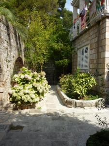 Zahrada ubytování Villa Fede