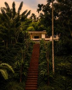 a staircase leading to a house in a garden at Lush Lagoon Homestay in Ambalavayal