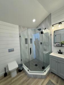 a bathroom with a shower and a toilet and a sink at SANDY BEACH Paradise On The Beach in Lincoln Junction