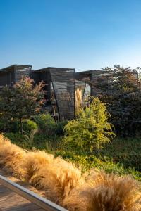 a garden with tall grass and a house at Taka Matanzas in Matanzas