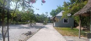 a dog sitting in the street next to a building at MafiaSeaview in Kilindoni