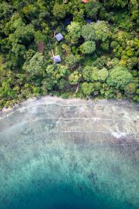 an aerial view of a beach and the ocean at Carenero Hills - Beach and Surf Bungalows in Bocas Town +187 photos