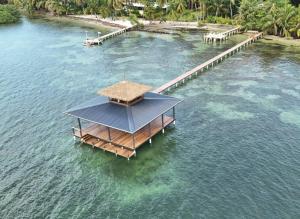 an aerial view of a dock in the water at Carenero Hills - Beach and Surf Bungalows in Bocas Town