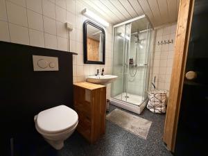 a bathroom with a toilet and a sink and a shower at Apparent with 2 bedrooms for rent in Kirkenes +8 photos