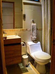 a bathroom with a white toilet and a sink at Casa Nilhue Camino a Farellones in Lo Barnechea