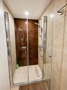 eine Dusche mit Glastür im Badezimmer in der Unterkunft FeWo Central Rust in Rust + 8 Fotos