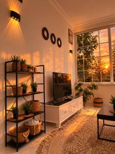 a living room with a tv and a shelf with plants at Apple Garden Guba in Quba