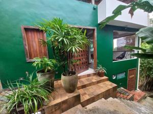 a green house with plants in front of it at Meu Dengo Pousada in Morro de São Paulo