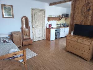 a living room with a bed and a television on a dresser at Haus der Sonne Apartment in Blaufelden