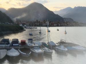 Eine Gruppe von Booten liegt im Wasser vor Anker. in der Unterkunft Diva Catamarano in Feriolo