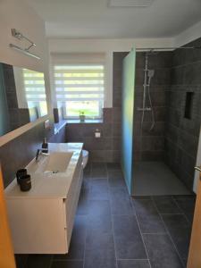 a bathroom with a sink and a shower at Am Rittergut Giesenstein Gartenblick in Bad Gottleuba +13 photos
