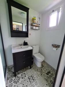 a bathroom with a sink and a toilet and a mirror at Boerderijcamping KiekeBoe in Maria-Hoop +9 photos