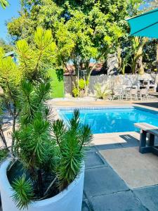 a swimming pool with a table and a bench next to it at BoniM Guesthouse - aka Magisha Guesthouse in Nelspruit