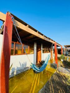 a blue hammock hanging from a building in water at Holgger House in Talara