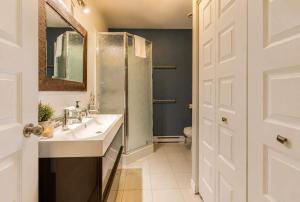 a bathroom with a sink and a shower at Le Huppe - Spa Ski & River View in Petite-Rivière-Saint-François +12 photos