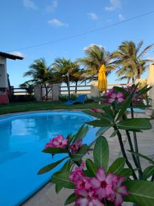 a view of a swimming pool with pink flowers at Pousada Soleil de Genipabu in Extremóz