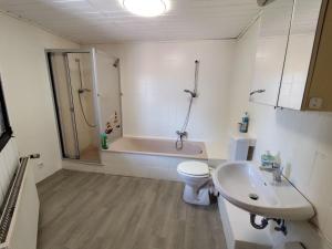 a bathroom with a toilet and a shower and a sink at Reden in Illingen