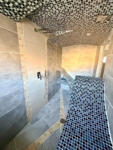a bathroom with a shower with a blue tile floor at L'Écrin de Valensole, Charme & terrasse in Valensole +6 photos