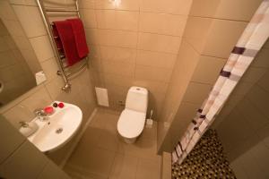 a small bathroom with a toilet and a sink at Apartment on Lychakivska in Lviv