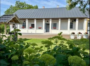 a white building with plants in front of it at Vitamin K73 Vendégház in Boldogkőváralja