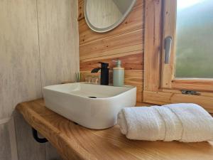a bathroom with a white sink on a wooden counter at L'Escapade du Puy in Saint-Amand-sur-Sèvre