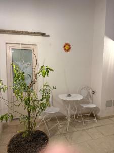 a table and chairs in a room with a plant at B&B LE DUE CORTI in Matino