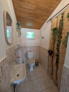 a bathroom with a toilet and a sink at Le Petit Gîte de L'Étang in Saint-Géry +7 photos