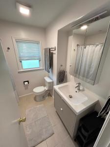 a white bathroom with a sink and a toilet at Charming Roanoke Guesthouse in Roanoke +22 photos