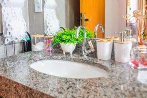 a bathroom counter with a sink with a plant on it at Chalé Flor de Ypê in Carrancas +72 photos