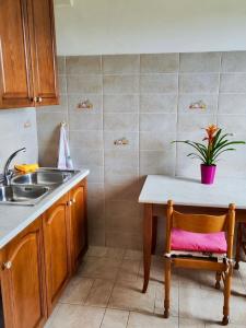 a kitchen with a sink and a table with a potted plant at Civico 32 in Mondovì