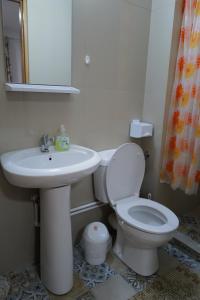 a bathroom with a white toilet and a sink at Raiul Sânzienelor in Sărata-Monteoru +24 photos