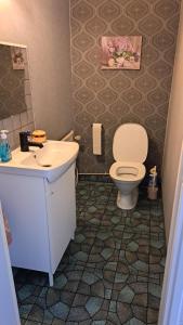 a bathroom with a toilet and a sink at Villa Tingsryd nära stranden in Tingsryd +16 photos