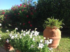 Foto dalla galleria di Al Chiarè a Oggiono