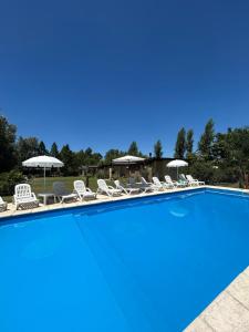 a large swimming pool with chairs and umbrellas at Complejo La Querencia de Colón in Colón