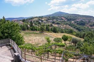 a view of a vineyard with a hill in the background at Casa Experience - Acri in Calamia
