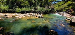 a river with rocks and trees in the background at Reserva Wanaka, San Carlos in Cocorná