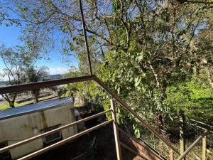 a stairway with a railing next to a tree at Puerto Las marias in Candelaria