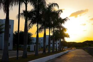 a street lined with palm trees at sunset at Your Private Patio Oasis Spa Pool Lounge 2BR in Santiago de los Caballeros
