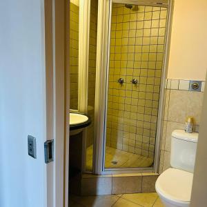 a bathroom with a shower and a toilet and a sink at Native Suites 411 in Johannesburg