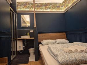 a bedroom with a bed with a blue wall at Small Modern Rooms in Luxembourg