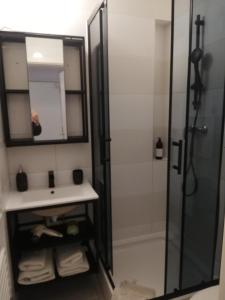 a bathroom with a shower and a sink at Apartments Simple Teslina in Zagreb +37 photos