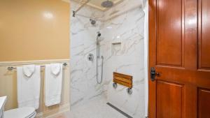 a bathroom with a shower and a toilet at Lewis Loft by AvantStay in Paso Robles